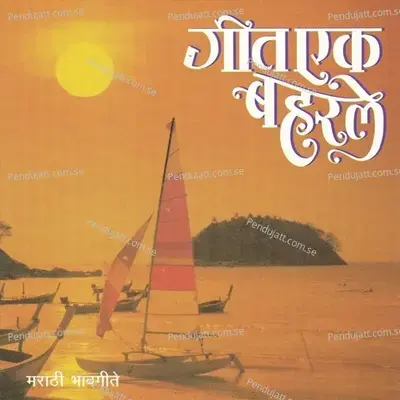 एका विराट रात्री - Sadhana Sargam album cover 