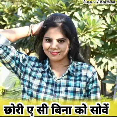 छोरी ए सी बिना को सोवें - Vishnu Meena album cover 