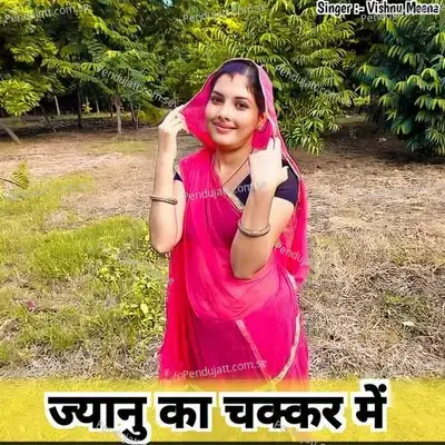 ज्यानु का चक्कर में - Vishnu Meena album cover 