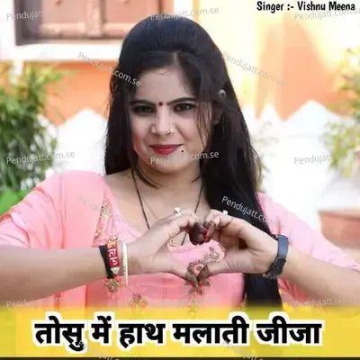 तोसु में हाथ मलाती जीजा - Vishnu Meena album cover 