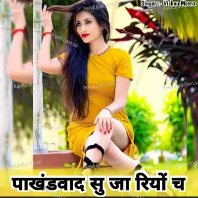 पाखंडवाद सु जा रियों च - Vishnu Meena album cover 