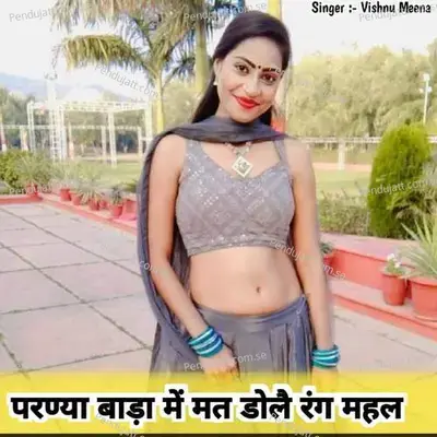 परण्या बाड़ा में मत डोलै रंग महल - Vishnu Meena album cover 