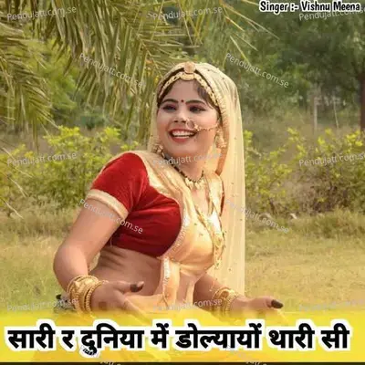 सारी र दुनिया में डोल्यायों थारी सी - Vishnu Meena album cover 